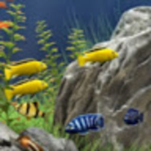 Meet your Posher, Pablo